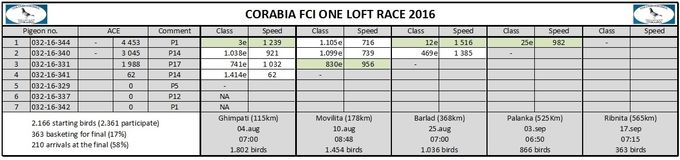 0 of 6 birds complete the FINAL RACE: