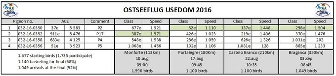 Following 4 of 4 birds complete the FINAL RACE: